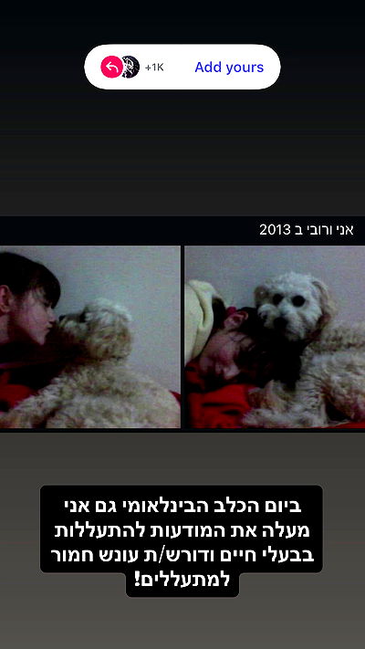 feelbetterinmysweater feelbetterinmysweater archive video