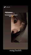 kitsunee.___ Altpins Profile Picture
