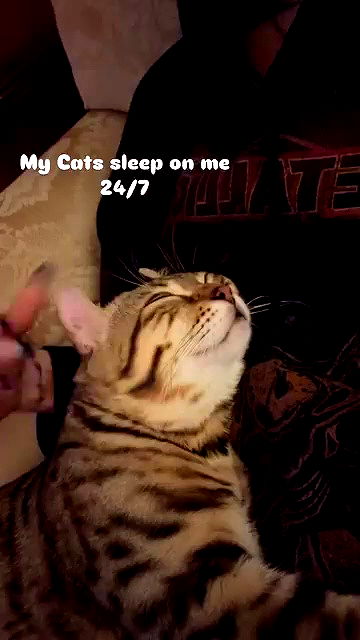 laurinchhhe archive video preview