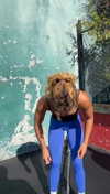 cclaire.bbear1 Altpins Profile Picture