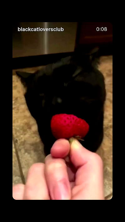 hellokittyangel666 hellokittyangel666 archive video