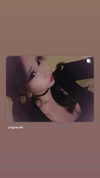 sweetestkttygrl Altpins Profile Picture