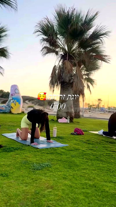 liad.arazi liad.arazi archive video