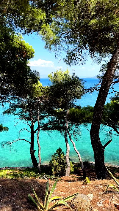 carolinezalog carolinezalog archive video