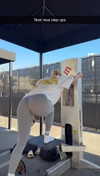 cclaire.bbear1 Altpins Profile Picture
