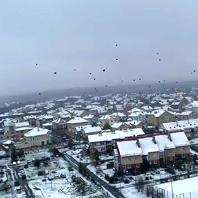 howeversnowy howeversnowy archive video