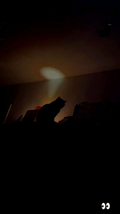 yoo.mon yoo.mon archive video