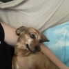 dakotabell05 Altpins Profile Picture