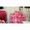 kyliejenner Altpins Profile Picture