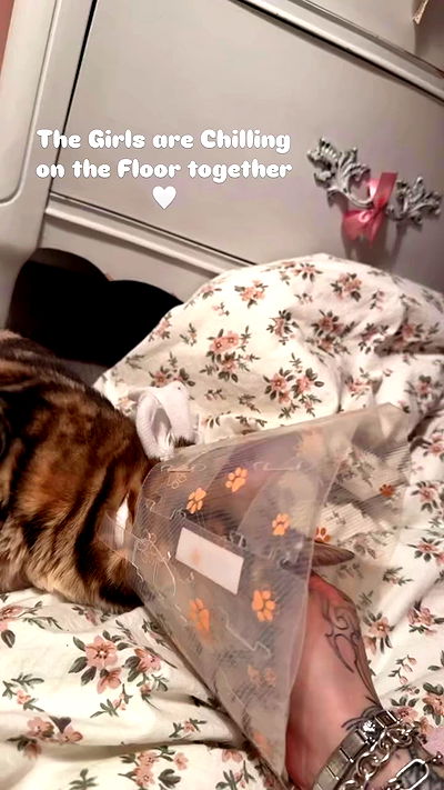 laurinchhhe laurinchhhe archive video