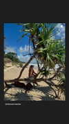 rhiannonmates Altpins Profile Picture