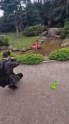 candy_balll Altpins Profile Picture