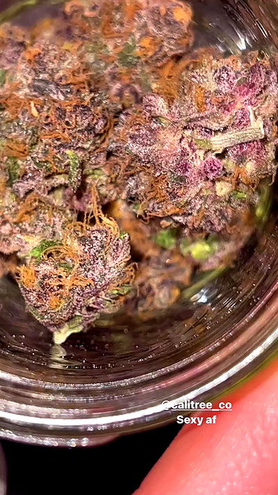 bakedsloths bakedsloths archive video