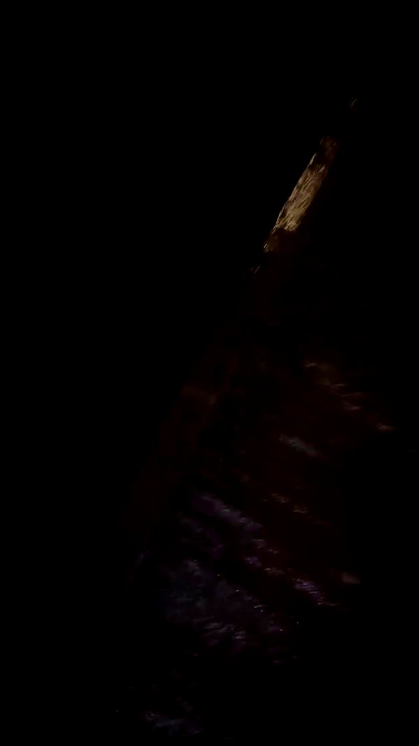 zaperwave archive video preview