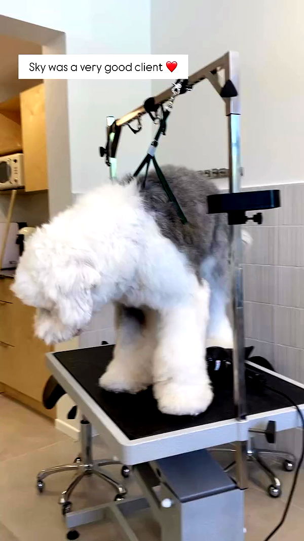 shanikaneko archive video preview