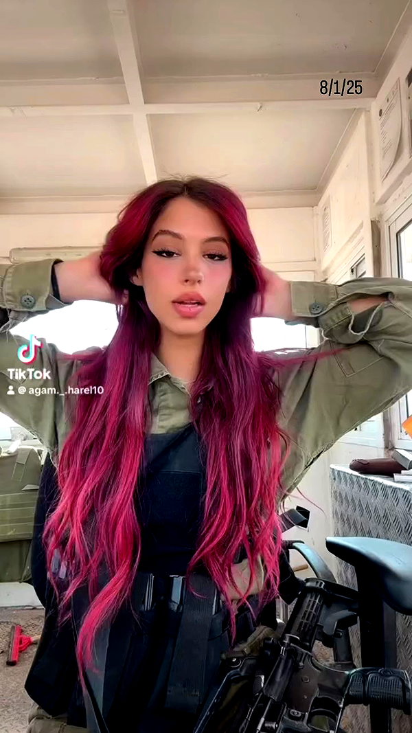 agam._.harel archive video preview