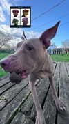 heathergrace67 Altpins Profile Picture
