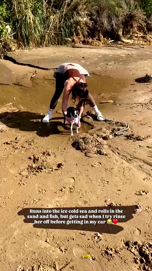 jade.schutte archive video preview