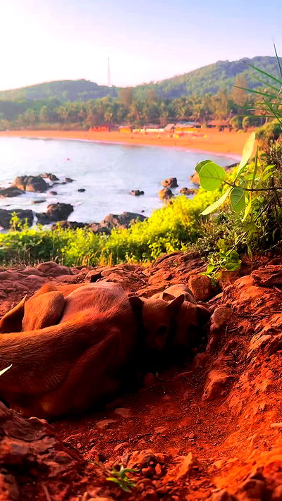 ronyida_ ronyida_ archive video