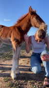 graceeholt Altpins Profile Picture