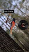 zz.eazoning Altpins Profile Picture