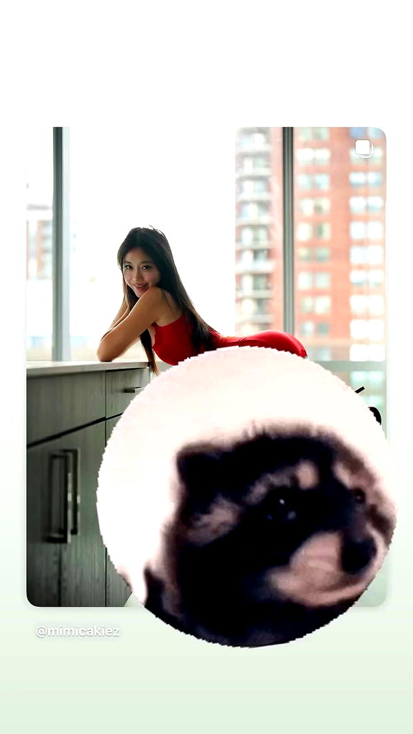 mimicakiez archive video preview