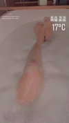 jessie_ng06 Altpins Profile Picture