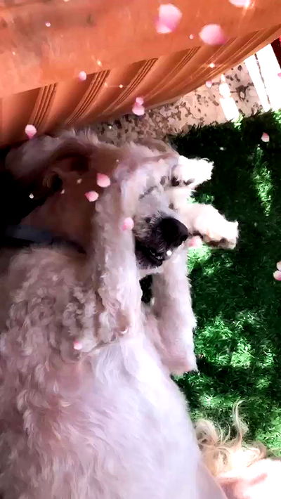 feelbetterinmysweater feelbetterinmysweater archive video