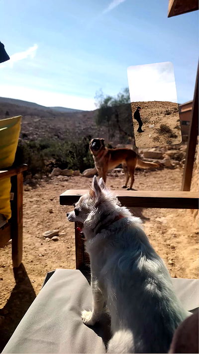 tinapavlov.sky tinapavlov.sky archive video