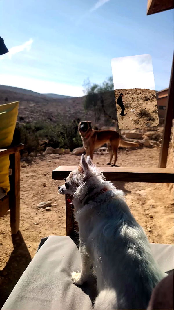 tinapavlov.sky archive video preview