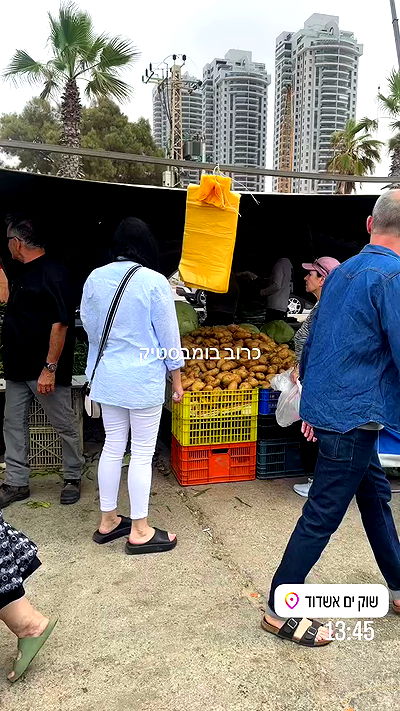 _lil_noa_ _lil_noa_ archive video