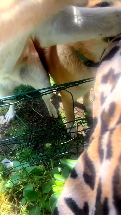 feelbetterinmysweater feelbetterinmysweater archive video