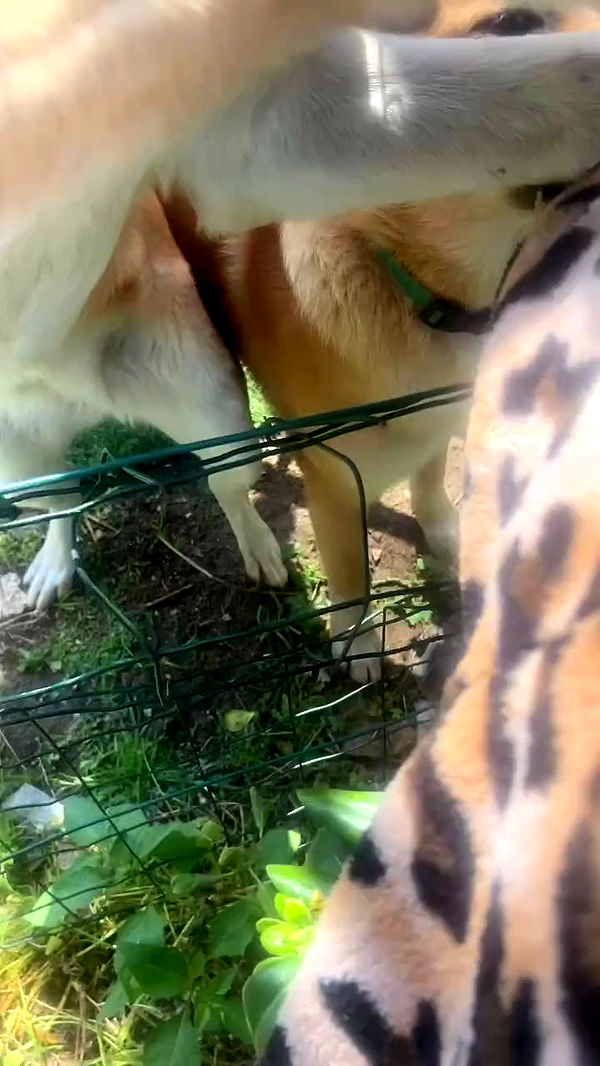 feelbetterinmysweater archive video preview