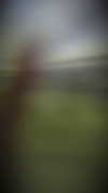 _wiyc.knz Altpins Profile Picture