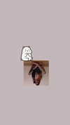 tokyo.shi Altpins Profile Picture