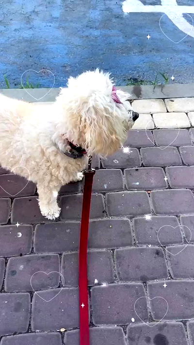 feelbetterinmysweater feelbetterinmysweater archive video