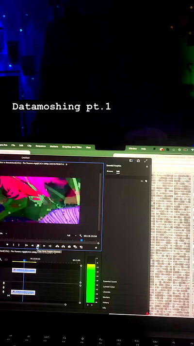 winbun.io winbun.io archive video