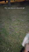 dinasaur_0_0_ Altpins Profile Picture