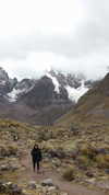 hagarschubert Altpins Profile Picture