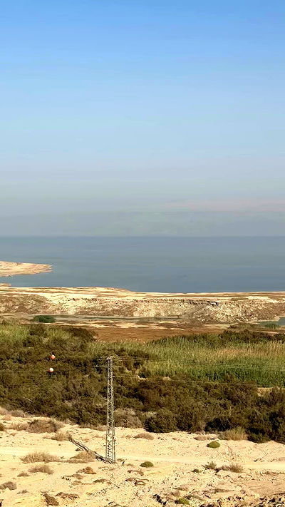 iambohema.v2 iambohema.v2 archive video