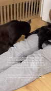 candy_balll Altpins Profile Picture