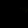 mittzaa_ Altpins Profile Picture