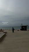 naama_gabbay Altpins Profile Picture