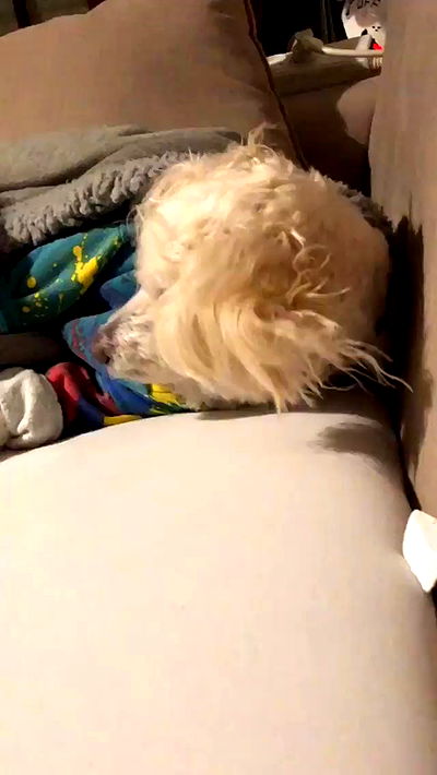 feelbetterinmysweater feelbetterinmysweater archive video