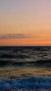 user364002 Altpins Profile Picture