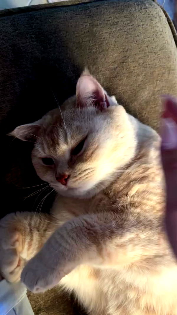 bbyerikss archive video preview