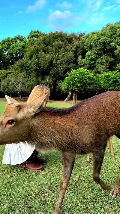 carolinezalog carolinezalog archive video