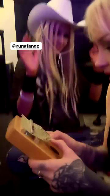 zaperwave archive video preview