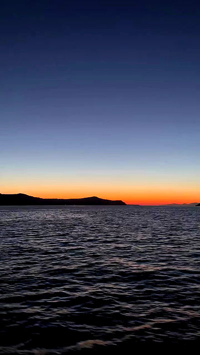 carolinezalog carolinezalog archive video