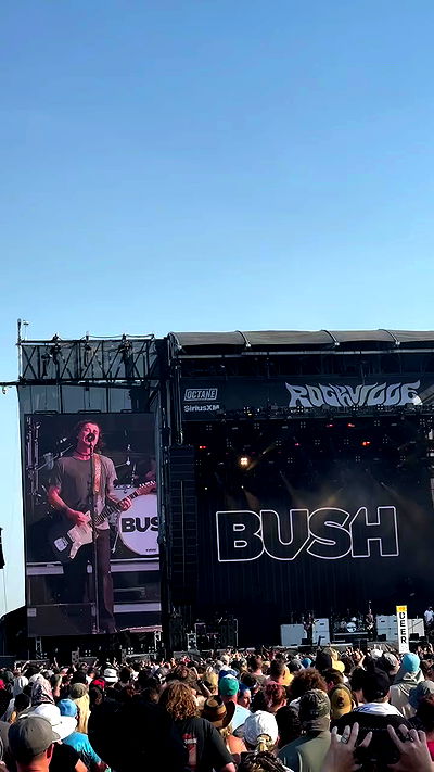 biton__adi biton__adi archive video